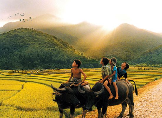 [TIPs & Trick] Ánh sáng trong nhiếp ảnh (8)