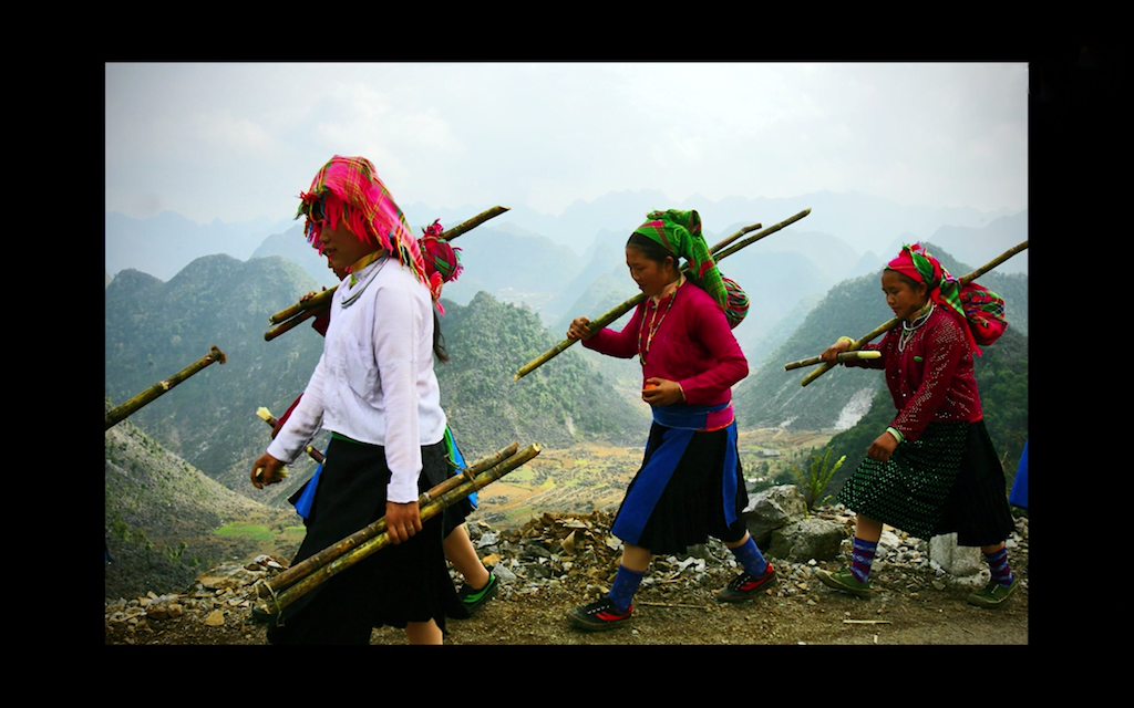 Bài 11: Thủ Pháp Thị Giác Trong Nhiếp Ảnh- Nhịp Điệu (3)