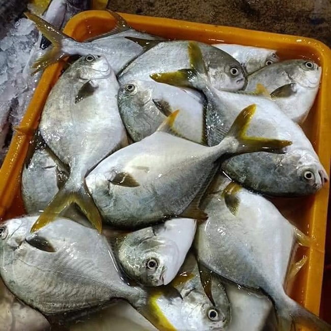 Sươngmedia