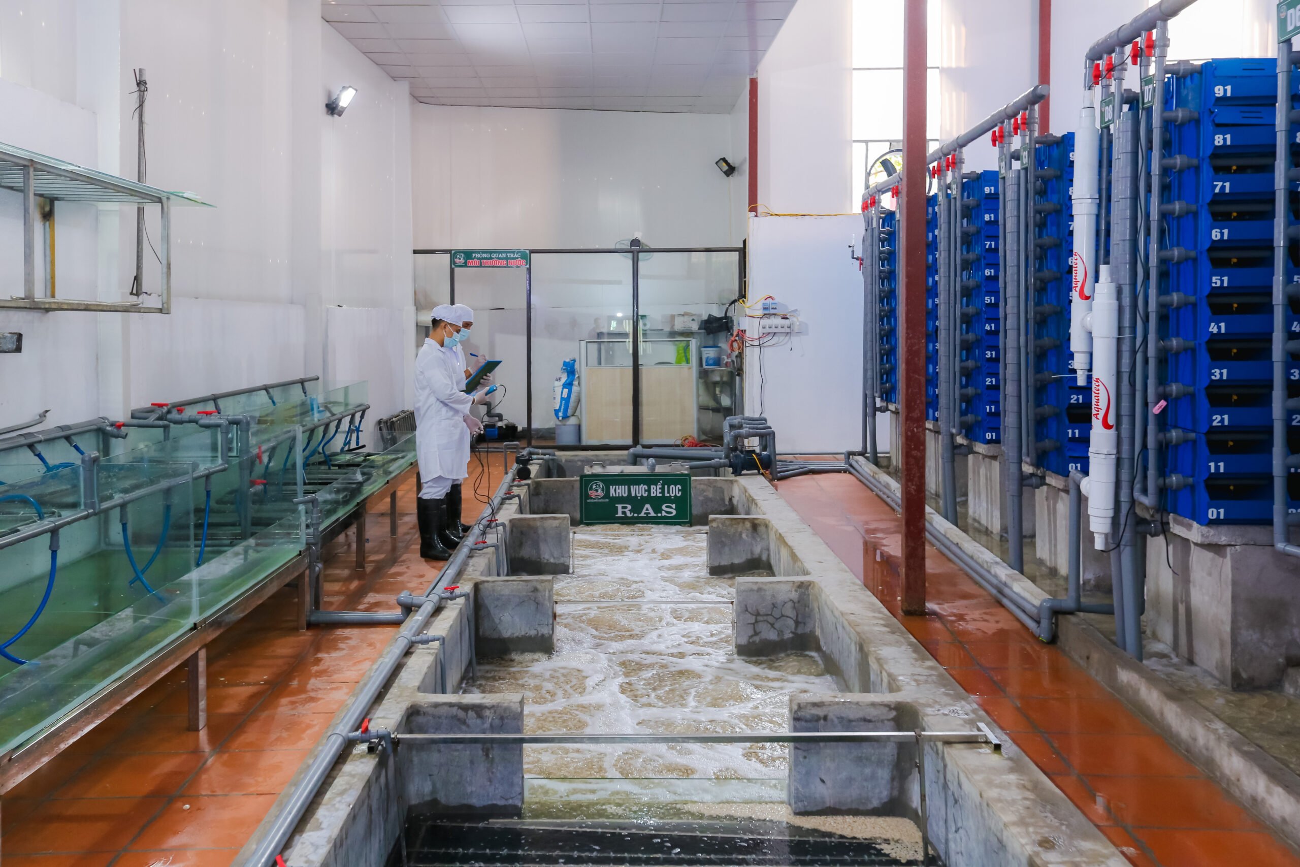 [MARKETING TỔNG THỂ] Green Aquatech - Món quà ý nghĩa cho dịp Tết 2021 (1)