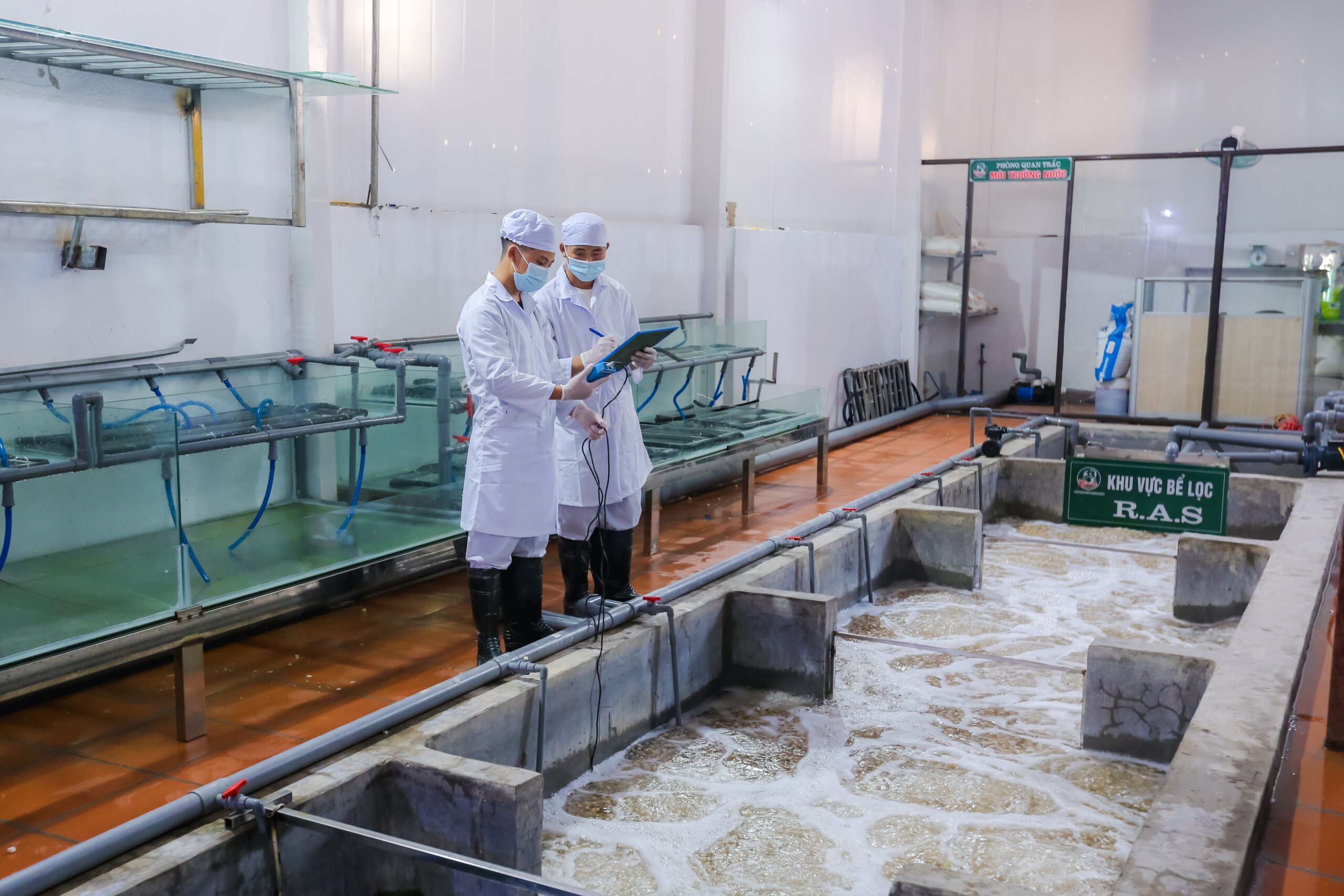 [MARKETING TỔNG THỂ] Green Aquatech - Món quà ý nghĩa cho dịp Tết 2021 (2)
