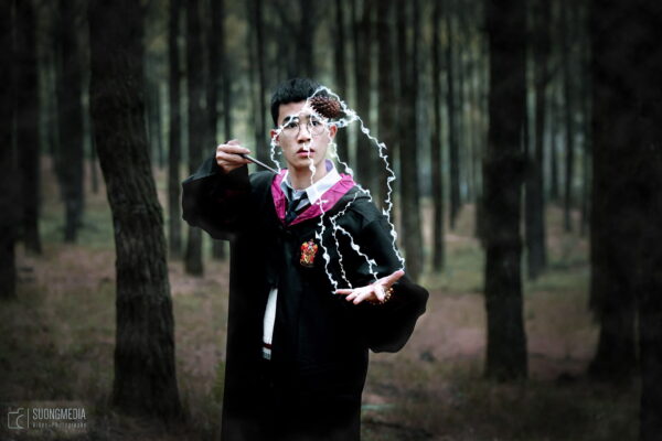Concept Harry Potter (2)