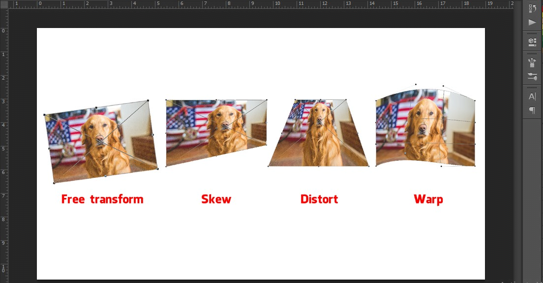 Cách thay đổi kích thước layer trong Photoshop (2)