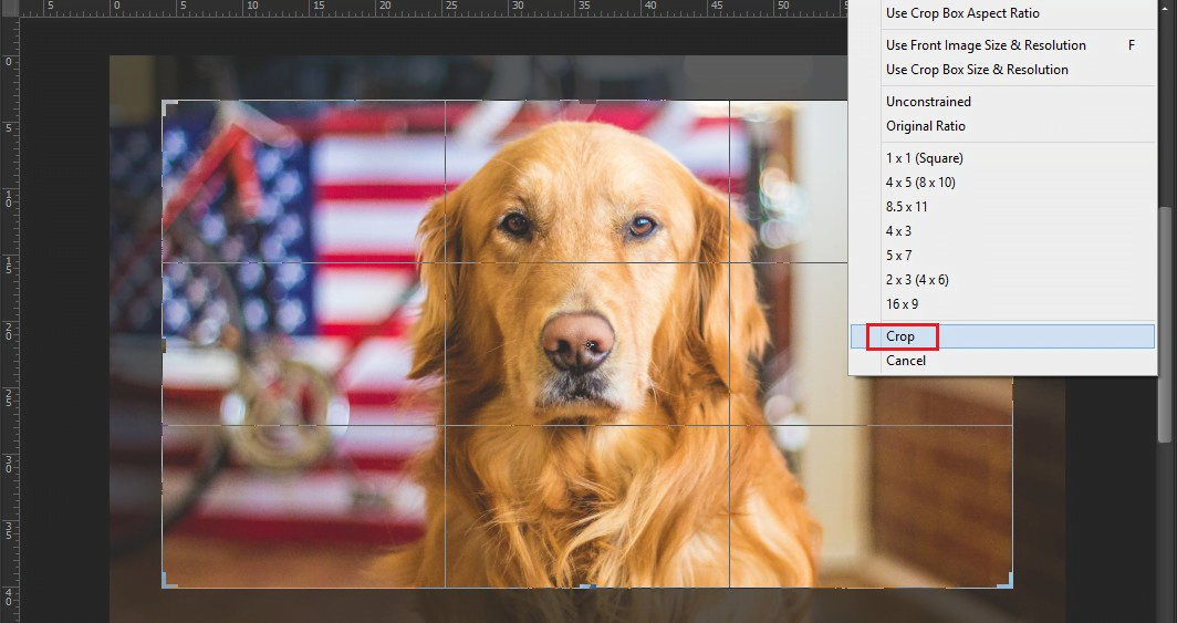 Cách thay đổi kích thước layer trong Photoshop (3)