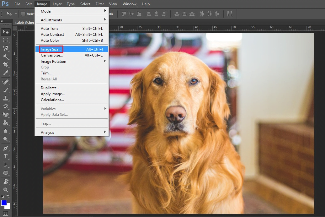 Cách thay đổi kích thước layer trong Photoshop (4)