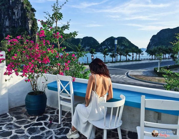 Top 10 quán Cafe Không thể bỏ qua khi đến Hạ Long (4)