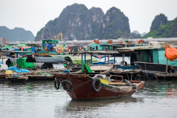 Chợ cá Bến Do Có Gì Hay ?! - Nét đẹp riêng của Cẩm Phả (6)