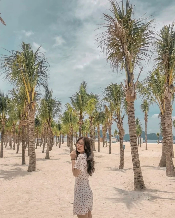 Bãi Cháy Quảng Ninh